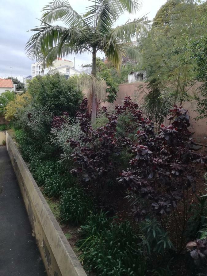 דירות Madeira Funchal Gardens מראה חיצוני תמונה