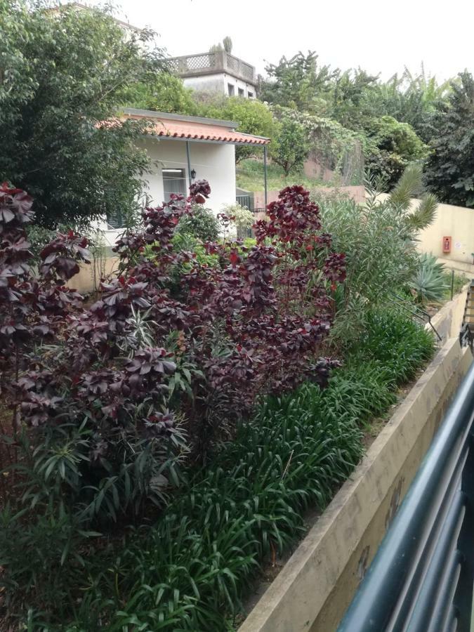דירות Madeira Funchal Gardens מראה חיצוני תמונה